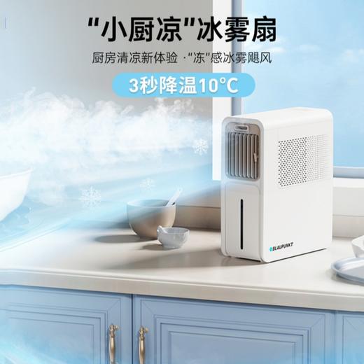 【小家电】Blaupunkt德国蓝宝厨房空调扇专用电风扇家用防油烟冰雾制冷台式凉霸小厨凉BP-X5 商品图0