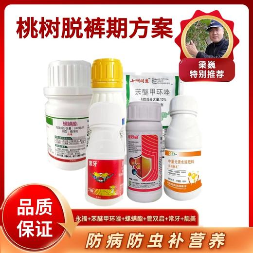 桃树脱裤期方案   永福+苯醚甲环唑+螺螨酯+管双启+常牙+靓美 商品图0