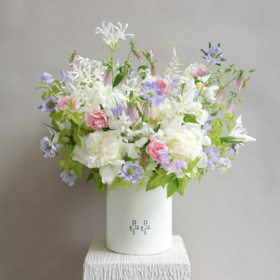 月光碎片 Moonlight Fragments