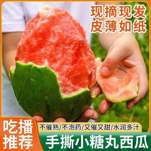 【超薄超甜！能“手撕”的2K蜜糖小西瓜】山东新鲜现摘 酥脆香甜 口感如蜜 入口的每一瞬间都仿佛是在榨汁！红心西瓜直接剥皮新鲜沙瓤 商品图0