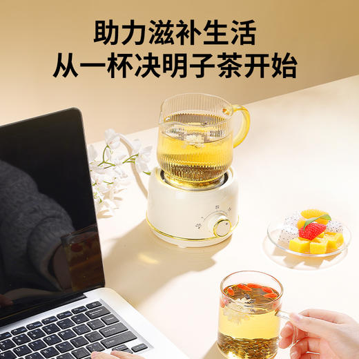【正宗同仁堂品牌】北京同仁堂 青源堂 决明子茶500g 安徽原产 饱满颗粒SY 商品图4