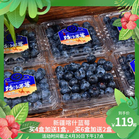 【活动】踏沙寻莓 · 新疆喀什蓝莓 当季鲜果