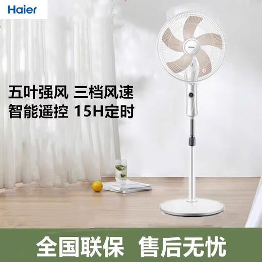 海尔（Haier）家用电风扇摇头轻风扇轻音大风落地扇节能 XLY4001A(遥控款) 商品图0