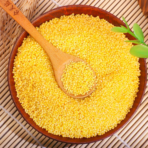  稻宝昌新米现磨东北农家黄小米500g真空装 商品图4