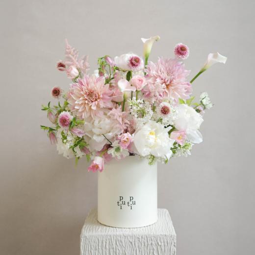 「Peony Season」杳蔼桃桃 Pathway to Pink 商品图0