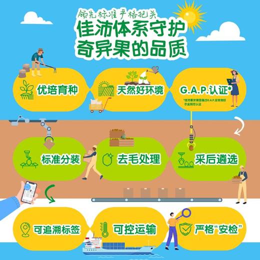 佳沛新西兰绿奇异果 原箱25-27粒 商品图3