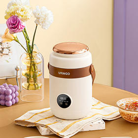 七彩叮当小电炖锅煮粥神器电炖锅DG03