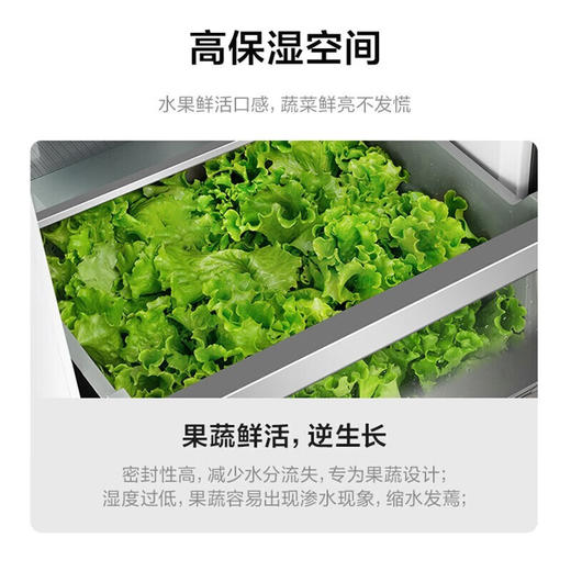 美的（Midea）601/605升对开门双开门风冷无霜一级双变频净味大容量家用电冰箱 线下同款BCD-601WKGPZMB墨兰灰 商品图4