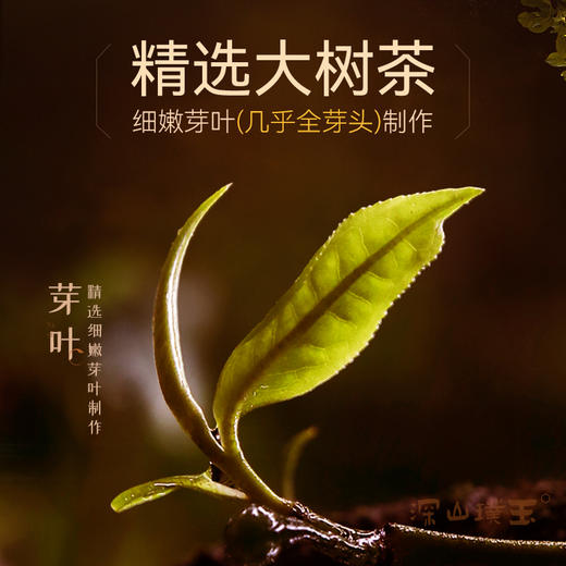 陈升号 2024年璞韵357g（熟茶） 商品图2