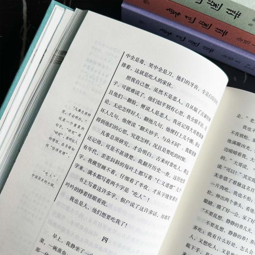 《鲁迅选集》精装典藏版（全4册）| 鲁迅研究家林贤治精选鲁迅小说、杂感、散文、诗歌、书信等，独家评注 商品图9