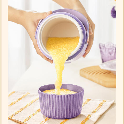 七彩叮当小电炖锅煮粥神器电炖锅DG03 商品图1