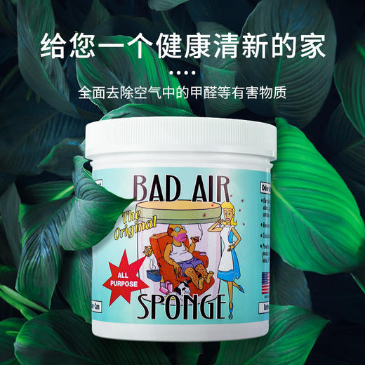 【香港直邮】 美国Bad Air Sponge空气净化剂白宫新房异味甲醛清除剂 400g 商品图1
