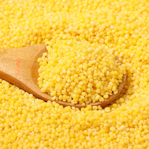  稻宝昌新米现磨东北农家黄小米500g真空装 商品图3