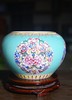 绿地扒花开窗花卉水洗 商品缩略图0