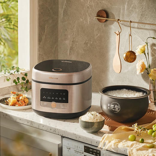 小熊电饭煲DFB-Q40G5 商品图0