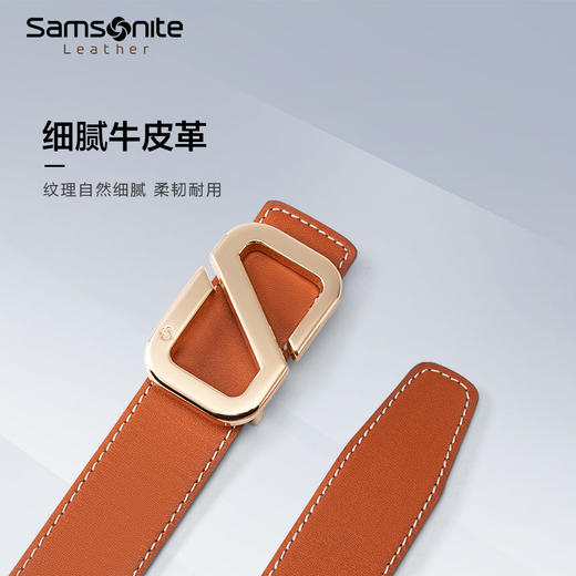 新秀丽AMARE II系列女士拼色皮带BW5*030 商品图2