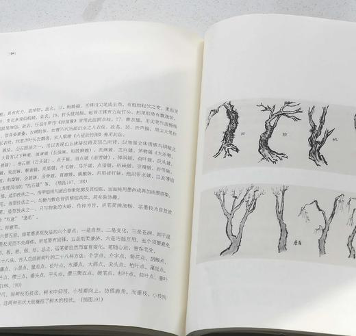 《国画欣赏常识》，16开，平装，任道斌著，中国美术学院出版社2018年一版一印，定价118，签名钤印本售价95元，普通版：88元。 商品图14