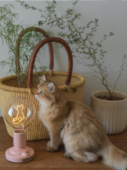 BELITE HOME 肥猫 冰酪白 礼盒装 猫咪氛围灯台灯家居床头灯卧室生日礼物复古小夜灯新婚 商品图4
