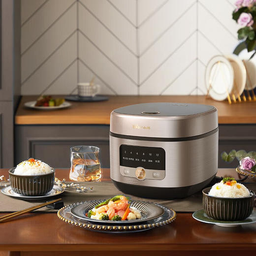 小熊电饭煲DFB-Q40G5 商品图2