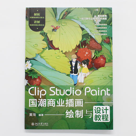 Clip Studio Paint国潮商业插画绘制与设计教程(黄洵 编著) 商品图2
