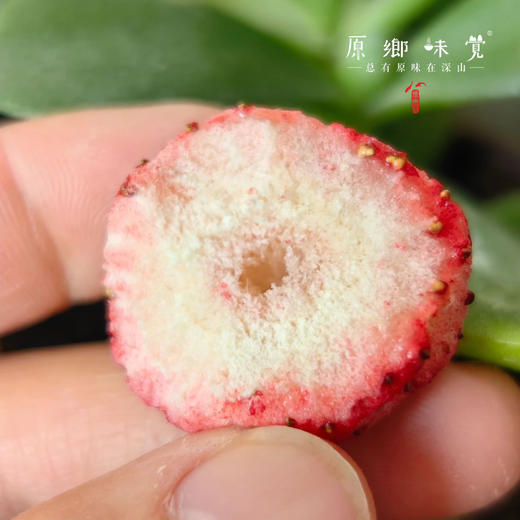 生态冻干草莓（成都仓库-顺丰快递 ）| 30g/袋，来自陕西咸阳，生产者：沃野青青【合作生产，公平贸易】 商品图3
