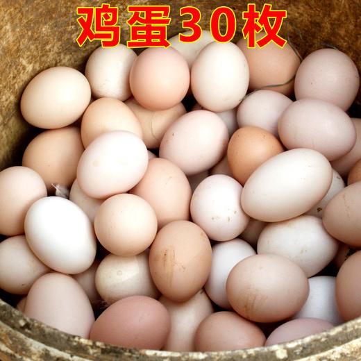 L清远鸡土鸡蛋30枚 商品图3