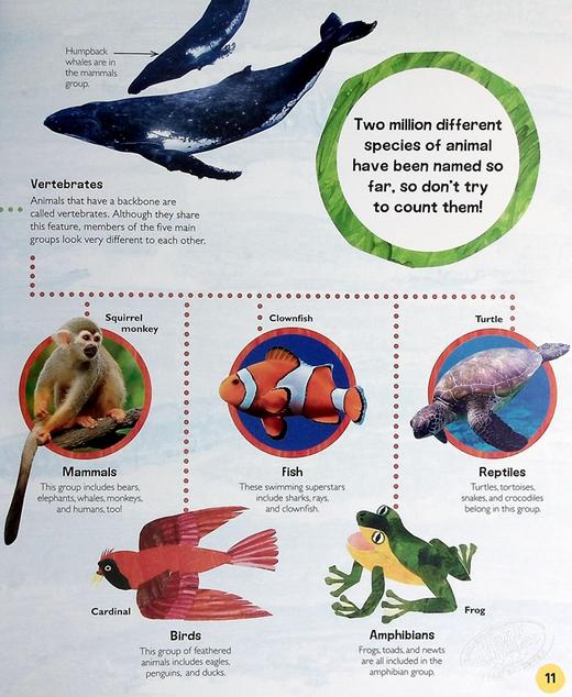 【中商原版】DK毛毛虫小百科 动物The Very Hungry Caterpillar's Very First Animal Encyclopedia英文原版儿童科普绘本 精装 商品图5