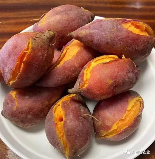 D新鲜生番薯5kg/箱 商品图2