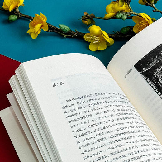 文化江南札记 增补版 胡晓明 金陵史记 姑苏文化 商品图12