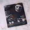 生而为野：中国野生生物摄影年赛摄影作品 全球精选219幅摄影佳作 看见生态美景野性自然  野生动物 自然景观 自然艺术 摄影画册 商品缩略图6