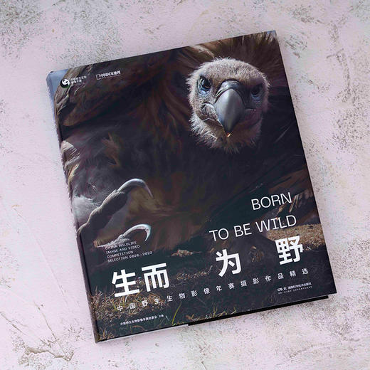 生而为野：中国野生生物摄影年赛摄影作品 全球精选219幅摄影佳作 看见生态美景野性自然  野生动物 自然景观 自然艺术 摄影画册 商品图6
