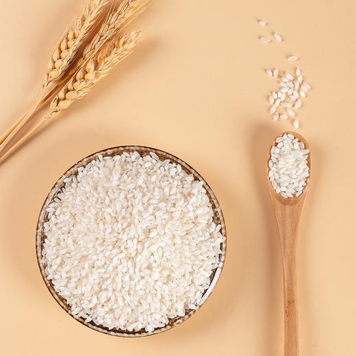  稻宝昌慢生长新东北大米雪花米5斤大米真空装 商品图4