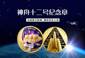 神舟纪念章系列
