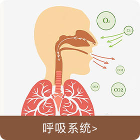 呼吸 系统
