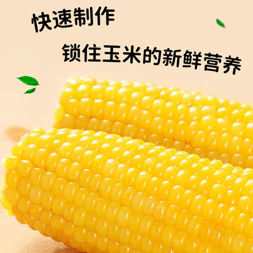  稻宝昌 东北鲜制黄糯玉米棒真空 8穗2200g 商品图4