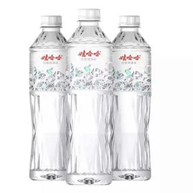 娃哈哈饮用纯净水550ml