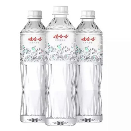 娃哈哈饮用纯净水550ml 商品图0