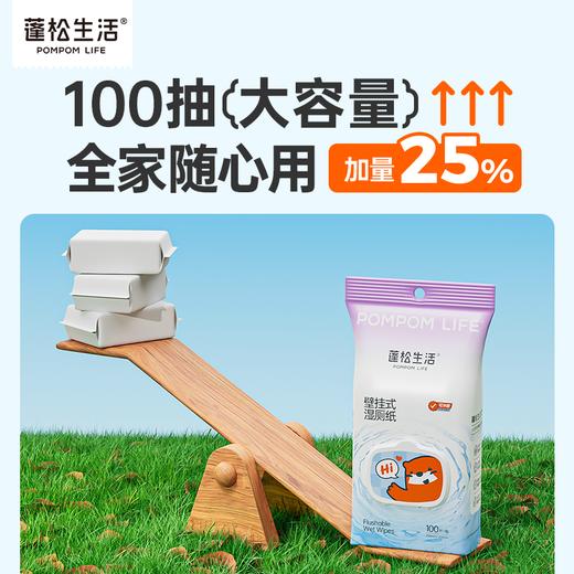 【100抽/提送挂钩】可冲散丢马桶蓬松生活壁挂式湿厕纸悬挂式家庭实惠装大包100抽男女可用擦屁股湿纸巾 商品图1