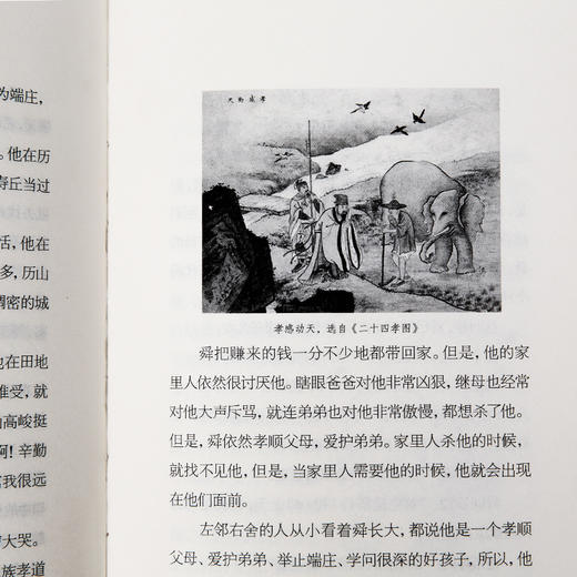 群星闪耀（全5册）插画本 青少年课外阅读读物 历史人物故事书籍 商品图3