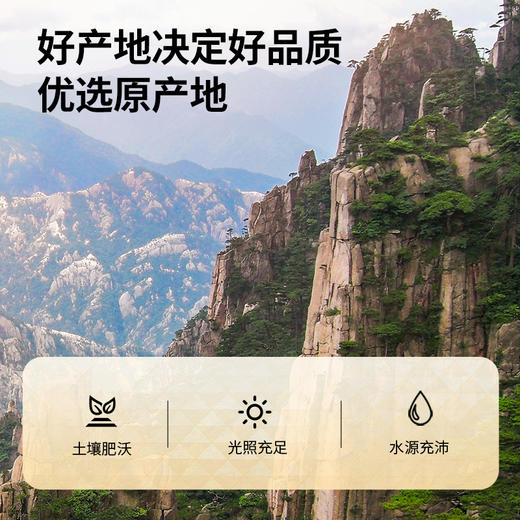 【正宗同仁堂品牌】北京同仁堂 青源堂 决明子茶500g 安徽原产 饱满颗粒SY 商品图5