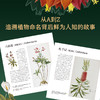 花朵传奇：大航海时代的植物图谱 植物大发现 植物绘画 图谱 大英图书馆出品 商品缩略图7