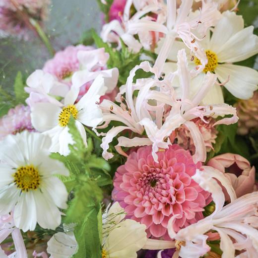 「瓶花」梦觉流莺 Afternoon Birdsong 商品图2