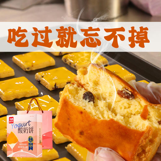 【宇辉粉丝专属】海鹏伴手礼纯酸奶和面蔓越莓酸奶饼400g 商品图3
