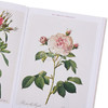 【中商原版】Redoute Roses 进口艺术 雷杜德：玫瑰 Taschen 商品缩略图3