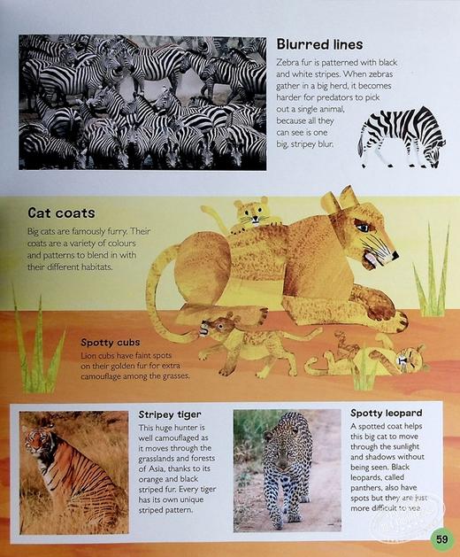 【中商原版】DK毛毛虫小百科 动物The Very Hungry Caterpillar's Very First Animal Encyclopedia英文原版儿童科普绘本 精装 商品图8