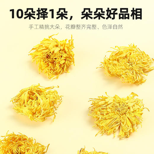 【品质茶饮丨杞里香金丝皇菊】安徽黄山原产，来自海拔1300米原始山脉，日照足，土地肥沃，每单枝仅保留一个花蕾，从中挑选当季头茬高品质金丝皇菊采收制干，经过6道工序锁住菊香，留住自然原味，口感自然清甜 商品图5