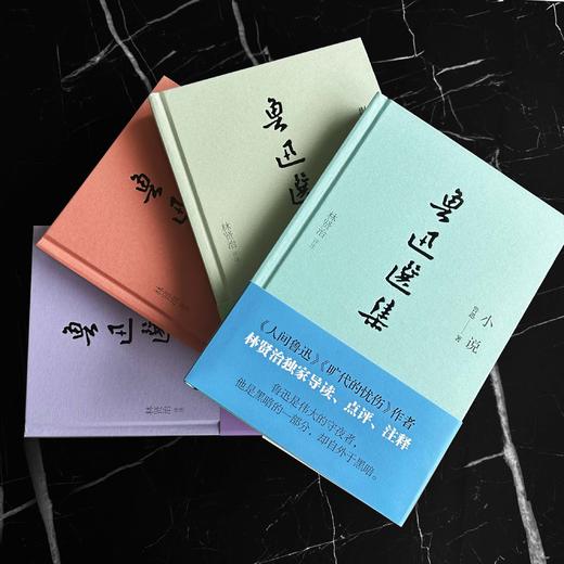 《鲁迅选集》精装典藏版（全4册）| 鲁迅研究家林贤治精选鲁迅小说、杂感、散文、诗歌、书信等，独家评注 商品图6