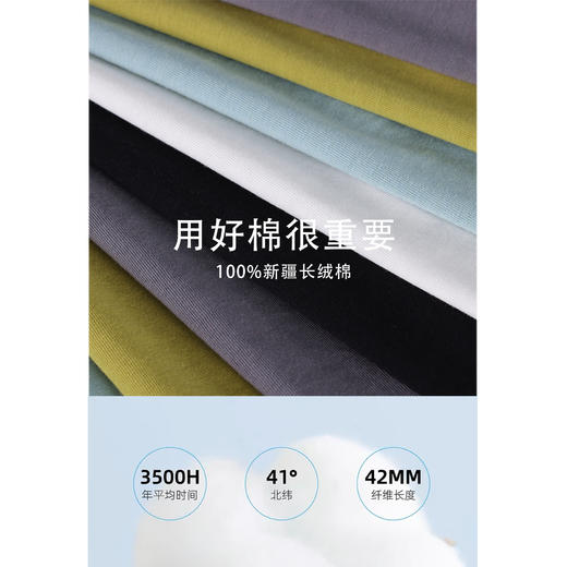 鹿向南《口碑T恤》2024新款V领短袖T恤女小个子夏季设计感上衣 商品图2