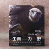 生而为野：中国野生生物摄影年赛摄影作品 全球精选219幅摄影佳作 看见生态美景野性自然  野生动物 自然景观 自然艺术 摄影画册 商品缩略图5