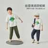 【团购价39.9】多多家男童防蚊裤夏季轻薄儿童裤子2024新款中大童空调裤帅气夏装9417 商品缩略图1